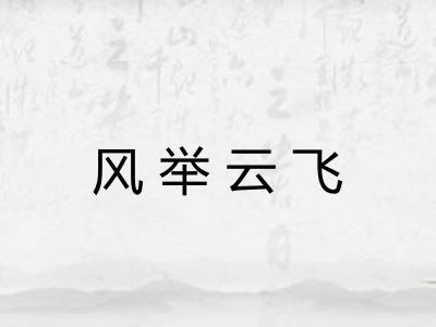 风举云飞