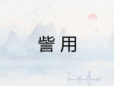 訾用