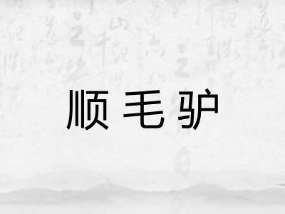 顺毛驴