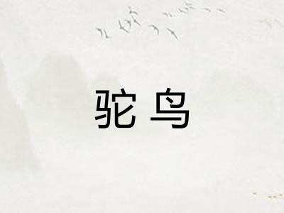 驼鸟