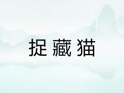 捉藏猫
