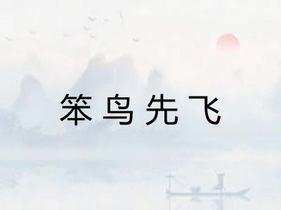 笨鸟先飞