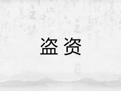 盗资