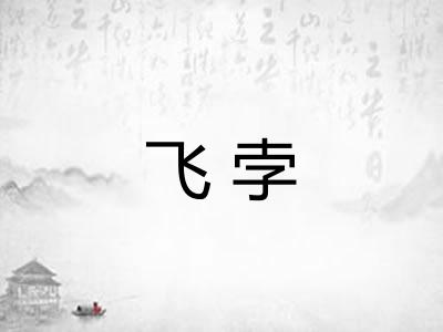 飞孛