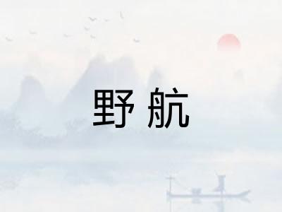 野航