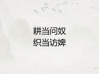 耕当问奴织当访婢