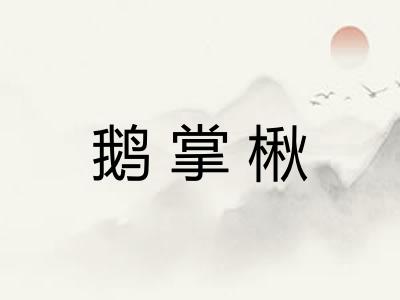 鹅掌楸