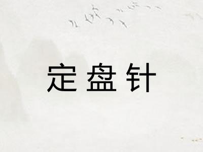 定盘针