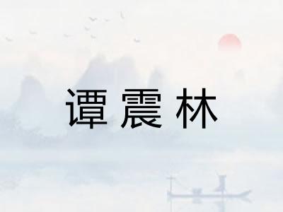 谭震林