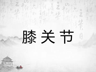 膝关节
