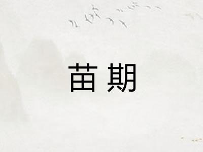 苗期