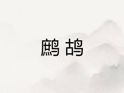 鹧鸪