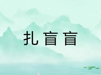 扎盲盲