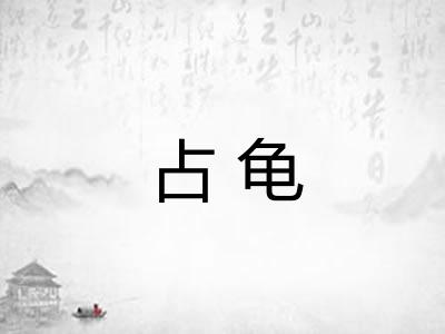 占龟