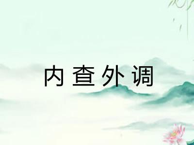 内查外调