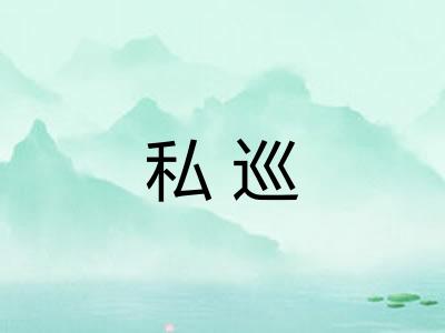 私巡