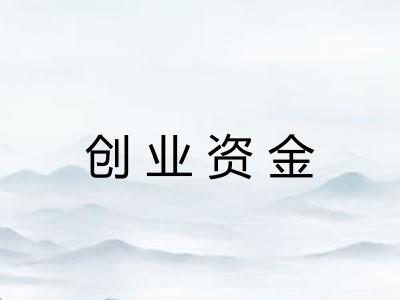 创业资金