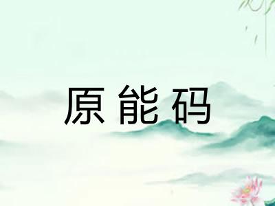 原能码