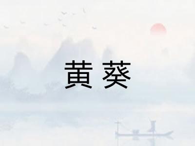 黄葵