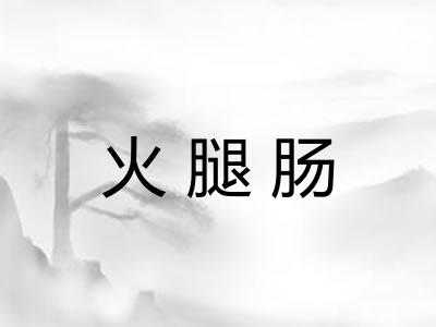 火腿肠