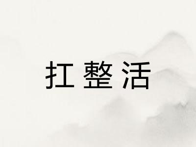 扛整活