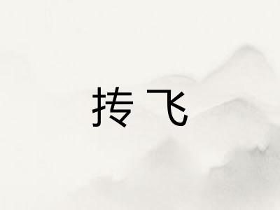 抟飞