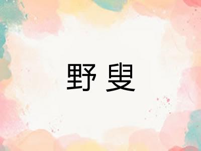 野叟