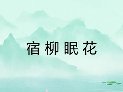 宿柳眠花