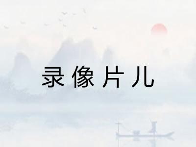 录像片儿
