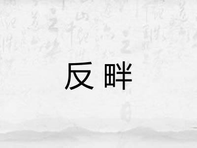 反畔