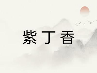 紫丁香