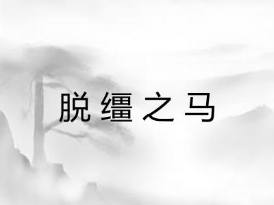 脱缰之马