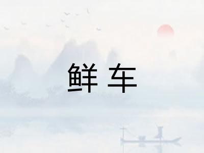 鲜车