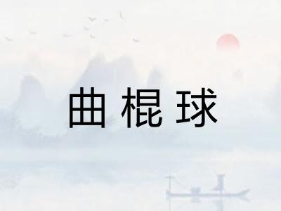 曲棍球