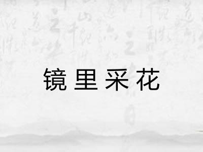 镜里采花