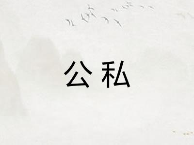 公私