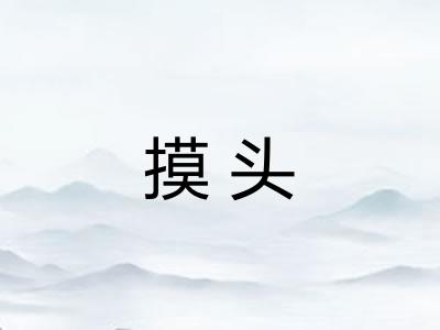 摸头