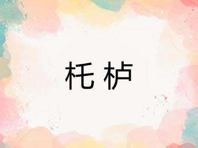 杔栌
