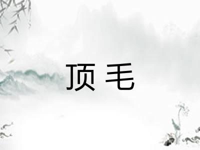 顶毛