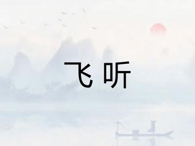 飞听