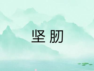 坚肕