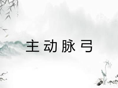 主动脉弓