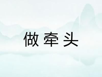 做牵头