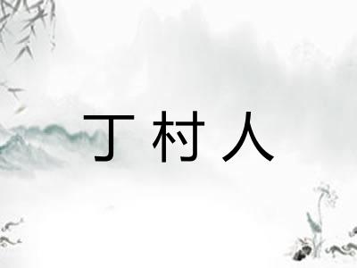 丁村人