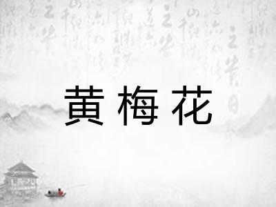 黄梅花