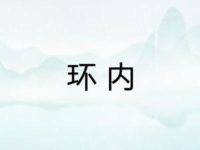 环内