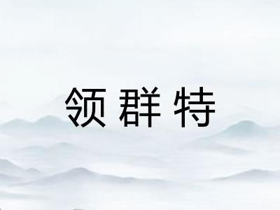 领群特