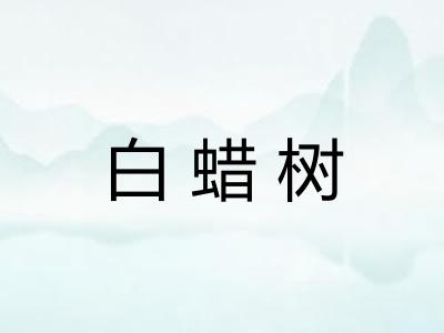 白蜡树