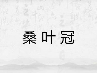 桑叶冠