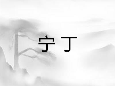 宁丁